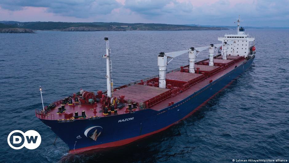 Ukraine: No smooth sailing for grain via the Black Sea