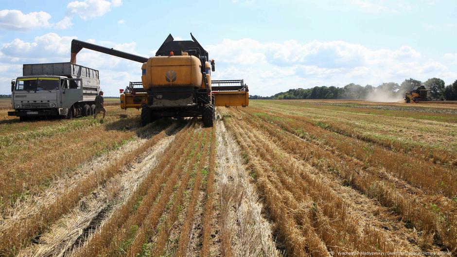 Зерно из украины: почему страны востока ес против его ввоза
