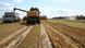 A harvester dumps grain into a truck during Ukraine's summer harvest A harvester dumps grain into a truck during Ukraine's summer harvest