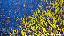BUENOS AIRES, ARGENTINA-JULY 5: Boca Juniors supporters in the stand before the Copa Libertadores football match between Boca Juniors and Corinthians at Alberto J. Armando Stadium in Buenos Aires City, Argentina on July 5, 2022. Stringer / Anadolu Agency