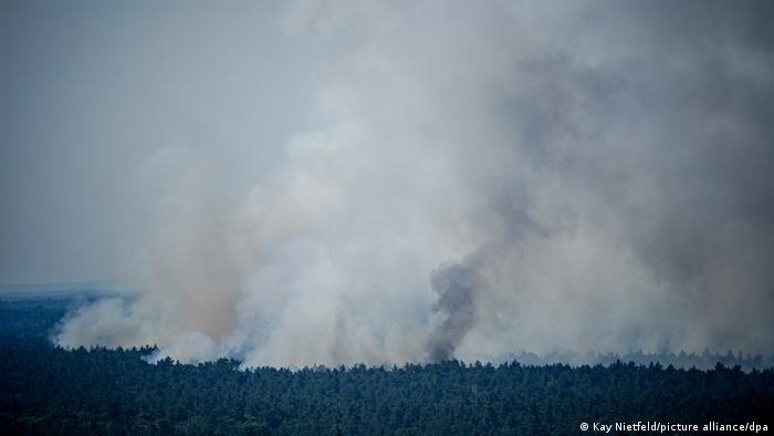 A wildfire rages in forrested land near Berlin