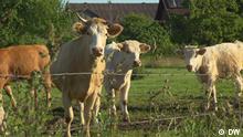 Germany: Seeing where food comes from firsthand 