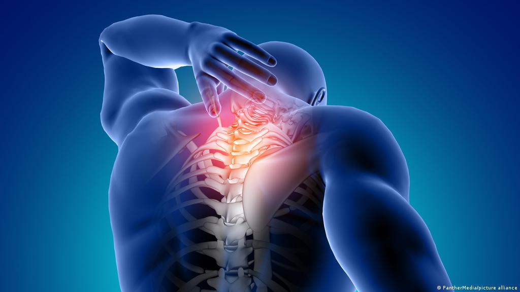 Retencion Isla de Alcatraz Haz un esfuerzo Cuál es la mejor manera de tratar el dolor de espalda? Nuevo estudio ofrece  guía útil de medicación | Ciencia y Ecología | DW | 05.08.2022