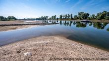 Sandbänke an der Niedrigwasser führenden Donau. +++ dpa-Bildfunk +++