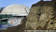 Biogas-Boom in Dänemark: Und Deutschland?