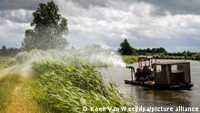 epa04837022 An employee of the Unie van Waterschappen (Association of regional water authorities) sprinkles the peat dikes near Breukelen because of the drought in Wilnis, The Netherlands, 08 July 2015. If it's dry over a long period, the dykes take too little water on and there is a chance that they no longer can handle the weight of river water. EPA/KOEN VAN WEEL ++