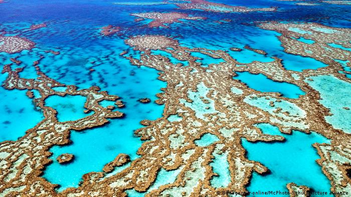 Gran Barrera de Coral frente a Australia, blanqueada por las altas temperaturas del agua.