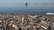 Dead fish on the shore of the Mar Menor Dead fish on the shore of the Mar Menor