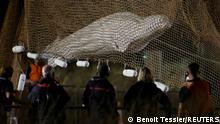 A rescue team crane-lifts the stranded beluga whale out of the Seine River