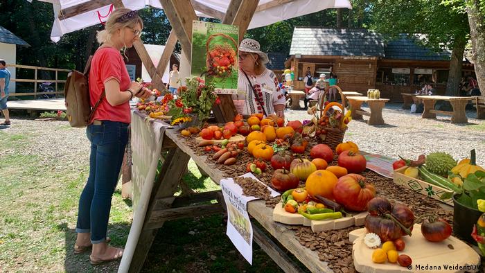 Rumänien, Sibiu | Festival für Tomaten und Biodiversität