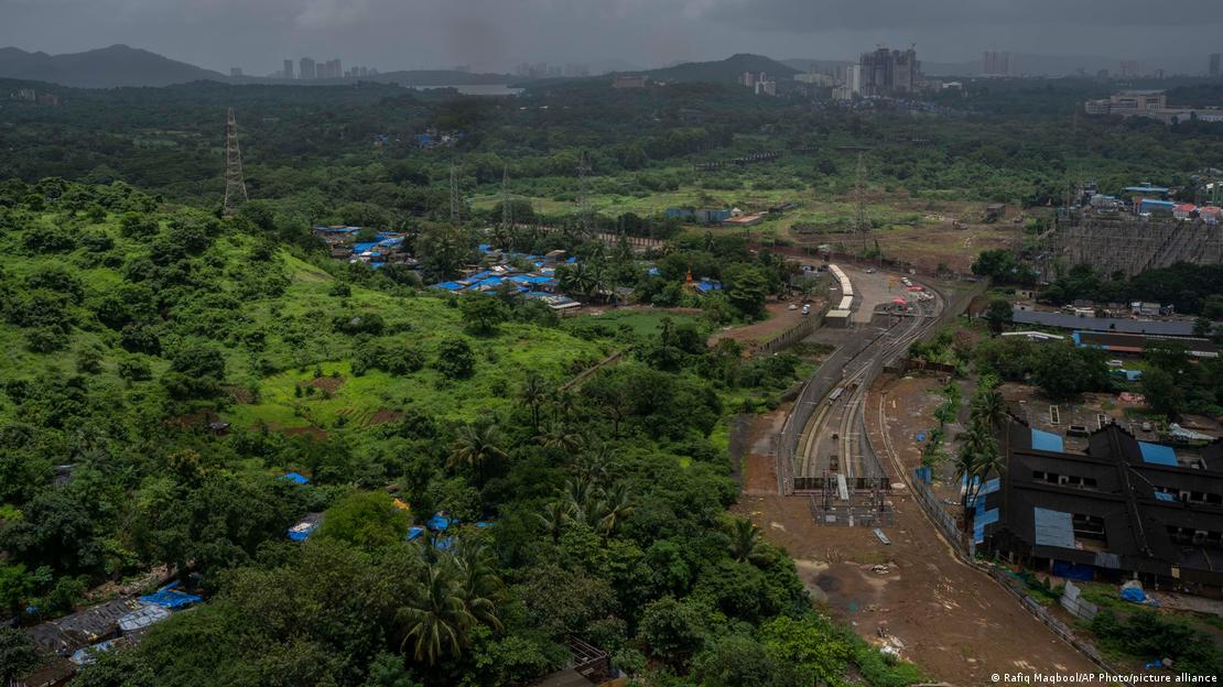El desarrollo de una línea de metro en las afueras de Mumbai entra en contacto con el hábitat del leopardo.