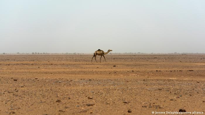 El gasoducto pasaría por el Sáhara. Aquí una imagen de archivo de Níger.
