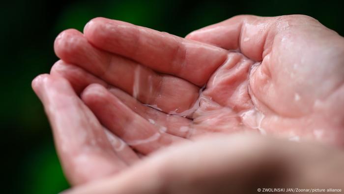 Estas sustancias químicas están en el aire que respiramos, en el agua que bebemos, en la lluvia que cae sobre nuestras comunidades e incluso en nuestra sangre.