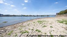 10.08.2022, Blick vom ausgetrockneten Rheinufer auf Mainz. Durch geringen Niederschlag und anhaltend hohe Temperaturen ist der Wasserstand im Rhein stark gesunken.