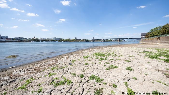 Dried up soil on banks of the River Rhine, well below the typical waterline, in Mainz. Image from August 10, 2022. 