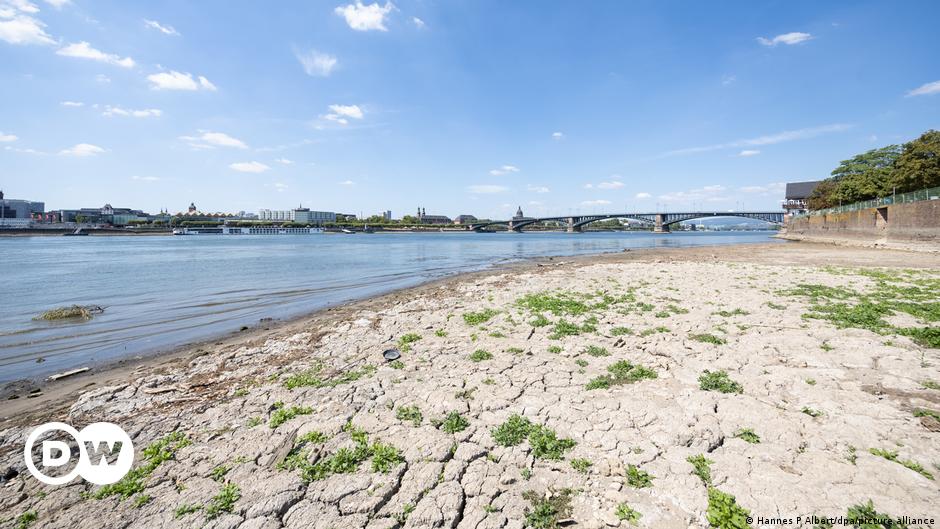 Deutschland: Weiterer Rückgang des Rheinwasserspiegels erwartet |  Neuigkeiten |  DW