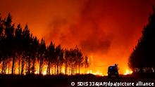 EU countries pool resources to contain wildfires