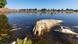 Ein verendeter Döbel und andere tote Fische schwimmen in der Oder bei Brieskow-Finkenheerd in Brandenburg Ein verendeter Döbel und andere tote Fische schwimmen in der Oder bei Brieskow-Finkenheerd in Brandenburg