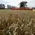 Сбор урожая пшеницы в Украине, 9 августа 2022 года