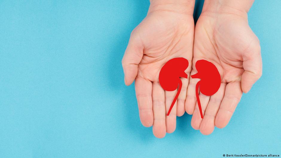 Germany news: Bundestag to discuss opt-out organ donation