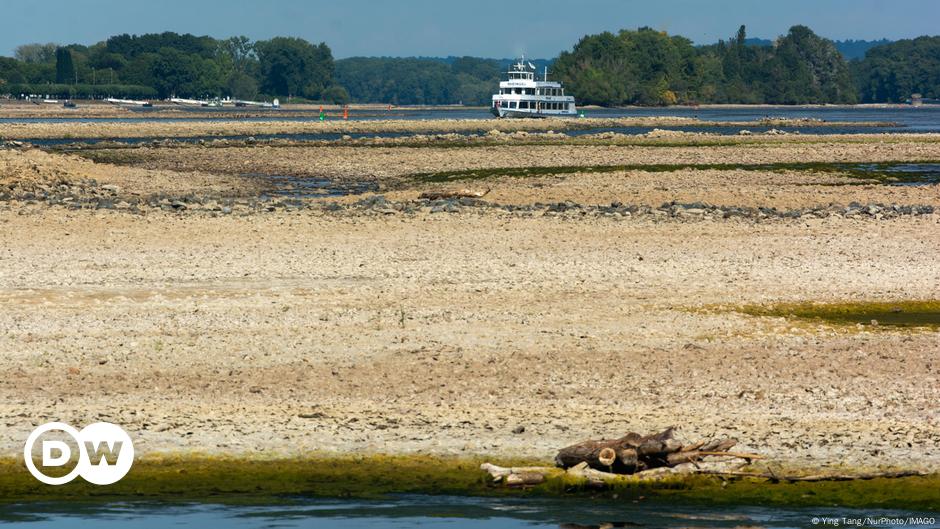 Drought Germany S Rivers Dying Of Thirst DW 08 17 2022   62797726 6 