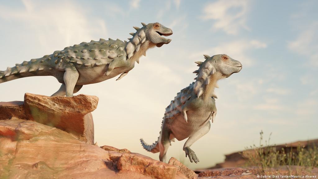 Descubren extraña especie de dinosaurio acorazado en Argentina: el primero  de su clase | Ciencia y Ecología | DW 