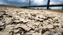 Terreno completamente seco y resquebrajado, a la orilla del río Rin, en Alemania.