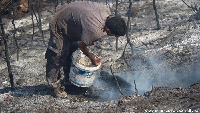 Al menos 90 personas murieron en 2021 en los incendios forestales que asolaron el norte del país. (Archivo 16.08.2021)