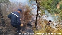 Viele Opfer bei Waldbränden in Algerien