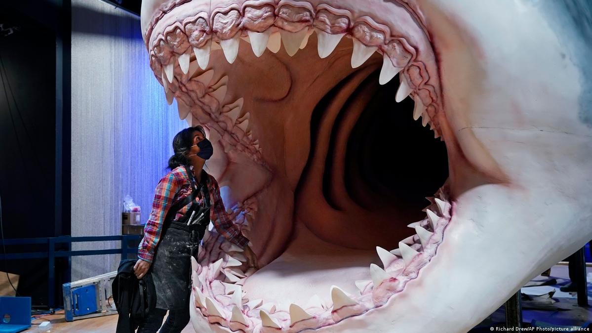 Estudio destroza el mito más popular sobre el megalodón, image size:1199x674