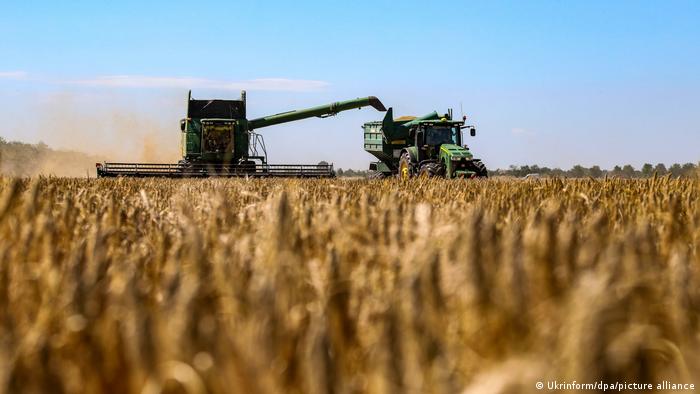 Ukrainischer Weizen für Afrika | Mähdrescher in der Ukraine