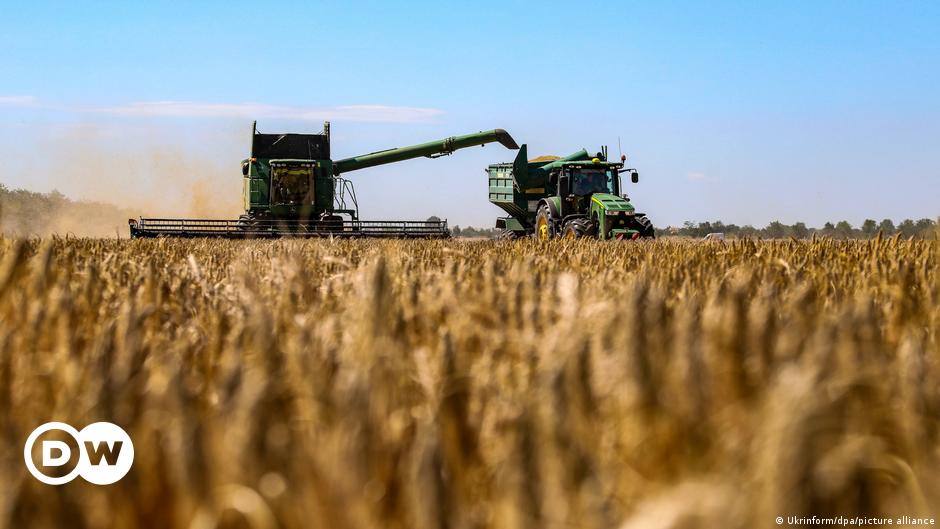 Ukraine/Russland: Getreideexportabkommen in Gefahr?  |  International – Deutschland, Europa, Afrika |  DW