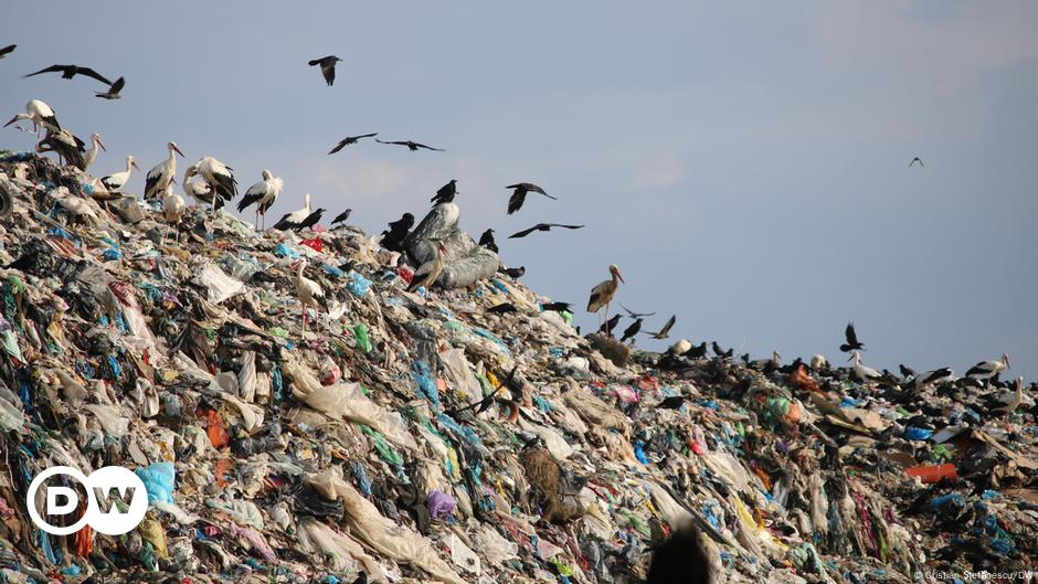 Problema gunoiului Romaniei – DW – 18.08.2023