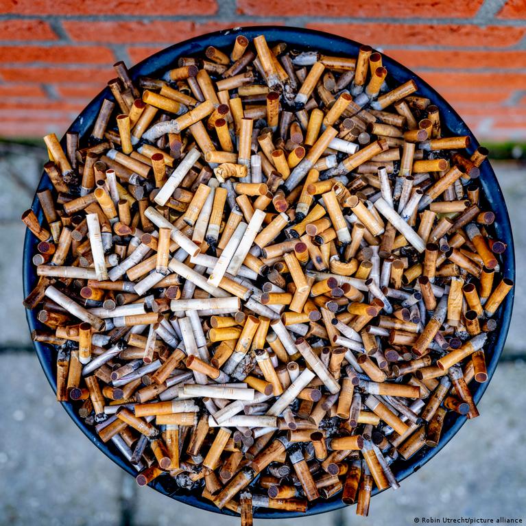 nicotine content in tobacco percentage Table 3 from Nicotine Content of Domestic Cigarettes, Imported Cigarettes  and Pipe Tobacco in Iran