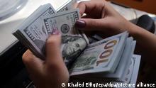 epa05244805 A photograph made available on 05 April 2016 shows an Egyptian counting US dollar notes in Cairo, Egypt, 04 April 2016. The Central Bank of Egypt (CEB) on 04 April said the net international reserves stood at 16.5 billion US dollars at the end of March. The CEB announced on 14 March it will adopt a 'more flexible exchange rate regime' to bolster foreign currency reserves, sending the Egyptian pound to a record low against major foreign currencies. EPA/KHALED ELFIQI ++ +++ dpa-Bildfunk +++