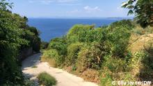 10/08/2022 – View of a path down to the sea on the Ile du Levant, France