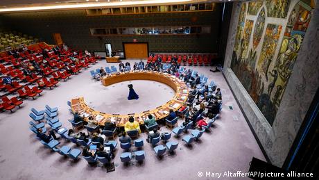 Γερμανία: Για μια θέση στο Συμβούλιο Ασφαλείας του ΟΗΕ