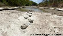 This handout image obtained on August 23, 2022 courtesy of the Dinosaur Valley State Park shows dinosaur tracks from around 113 million years ago, discovered in the Texas State Park after a severe drought conditions that dried up a river. - A drought in Texas dried up a river flowing through Dinosaur Valley State Park, revealing tracks from giant reptiles that lived 113 million years ago, an official said Tuesday. (Photo by Handout / Dinosaur Valley State Park / AFP) / RESTRICTED TO EDITORIAL USE - MANDATORY CREDIT AFP PHOTO / Dinosaur Valley State Park - NO MARKETING - NO ADVERTISING CAMPAIGNS - DISTRIBUTED AS A SERVICE TO CLIENTS