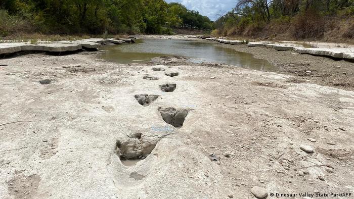 Sequía en Texas deja al descubierto ″uno de los conjuntos de huellas de  dinosaurios más largos del mundo″ | Ciencia y Ecología | DW | 24.08.2022