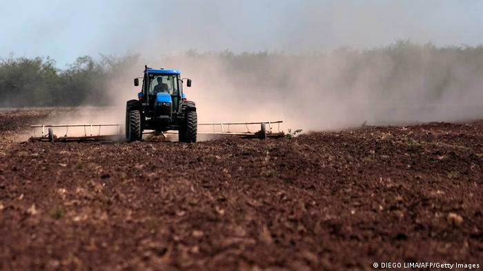 Un tractor en un campo de soja en Argentina