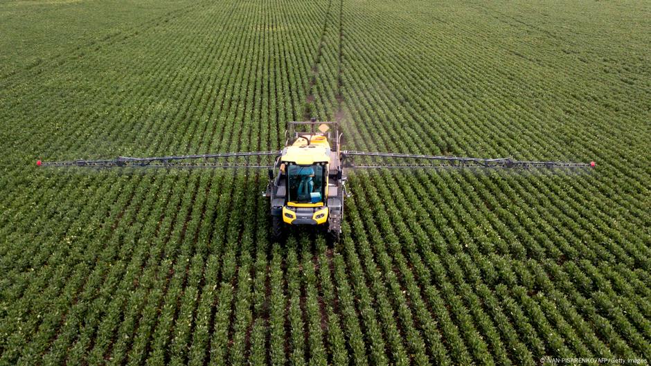 Polémica intoxicación por plaguicidas Argentina |  mundo |  DW