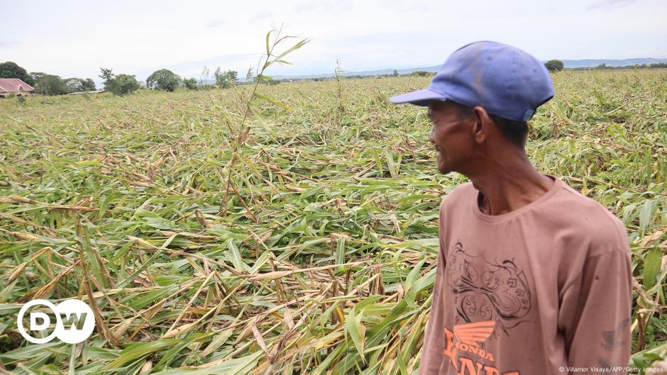 Philippines To Put Billions Toward Agriculture DW 08 28 2022