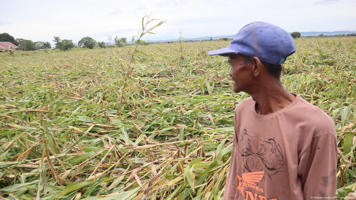 Philippines To Put Billions Toward Agriculture DW 08 28 2022