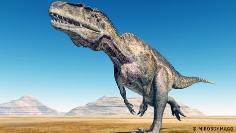 Ilustração de dinossauro do tipo Acrocantossauro. 