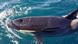 Thumbnail Fokus Eropa, Orca Spanien Thumbnail Fokus Eropa, Orca Spanien