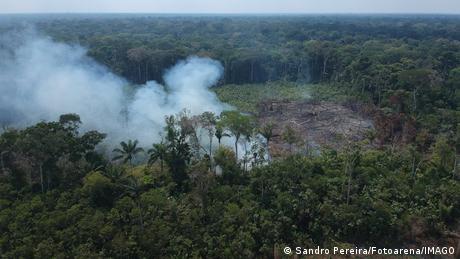 Brasil: superficie de selva quemada y talada en la Amazonía.