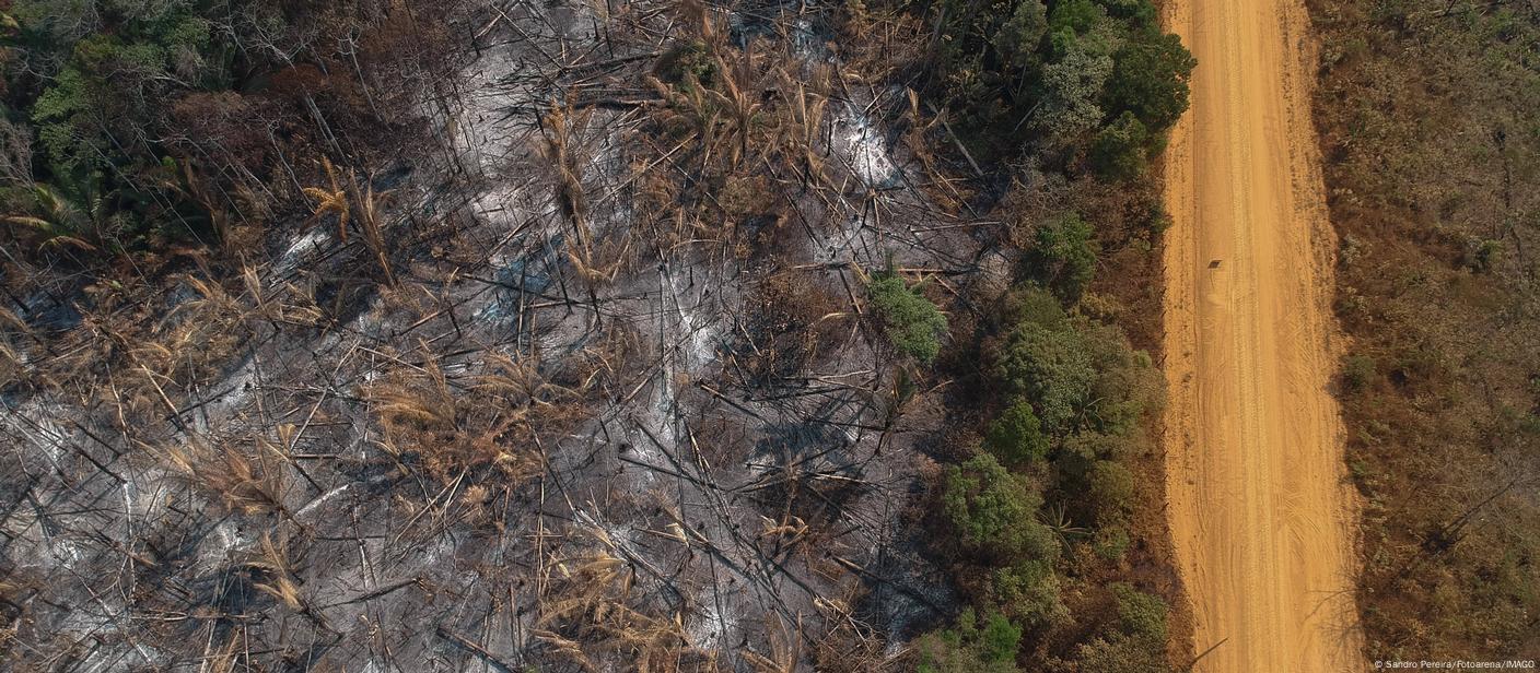 Área desmatada e queimada às margens da Transamazônica, em agosto de 2022