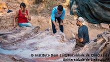 In this undated handout photograph released on August 29, 2022 by the Instituto Dom Luiz (Faculty of Sciences of the University of Lisbon), palaeontologists work on the extraction of part of the fossilized skeleton of a large sauropod dinosaur, at the Monte Agudo paleontological site in Pombal, central Portugal. - Portuguese and Spanish palaeontologists unearthed the fossilised bones of a dinosaur in the garden of a house in central Portugal at the beginning of August, which could be the largest sauropod ever discovered in Europe. Among the vertebrae and ribs collected, which date back to the Jurassic period about 150 million years ago, the researchers found the remains of a rib about three metres long. (Photo by Handout / Instituto Dom Luiz, Faculdade de CiÍncias da Universidade de Lisboa / AFP) / RESTRICTED TO EDITORIAL USE - MANDATORY CREDIT AFP PHOTO / INSTITUTO DOM LUIZ (FACULTY OF SCIENCES OF THE UNIVERSITY OF LISBON) - NO MARKETING - NO ADVERTISING CAMPAIGNS - DISTRIBUTED AS A SERVICE TO CLIENTS