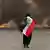 A man draped in an Iraqi flag stands before a burning roadblock in Basra