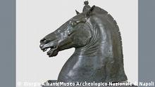 A very realistic bronze sculpture of a horse head created by Renaissance artist, Donatello.